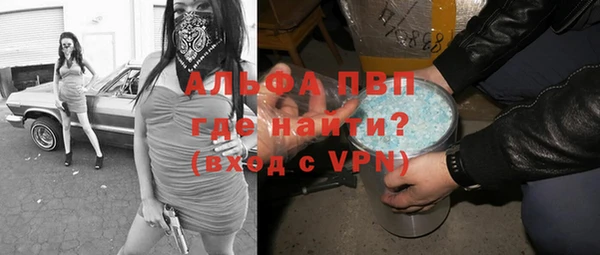 индика Кодинск