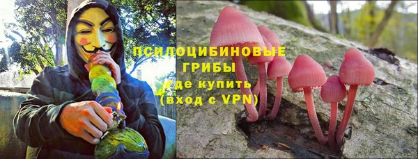 ALPHA-PVP Кинешма