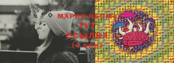 индика Кодинск