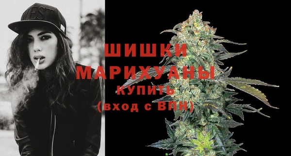 индика Кодинск