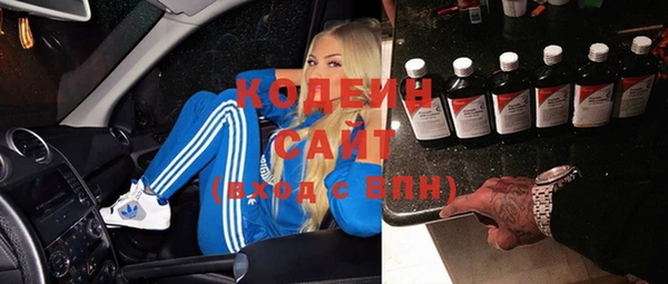 индика Кодинск
