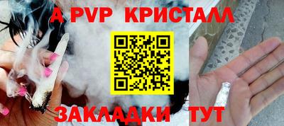 PSILOCYBIN Камышлов