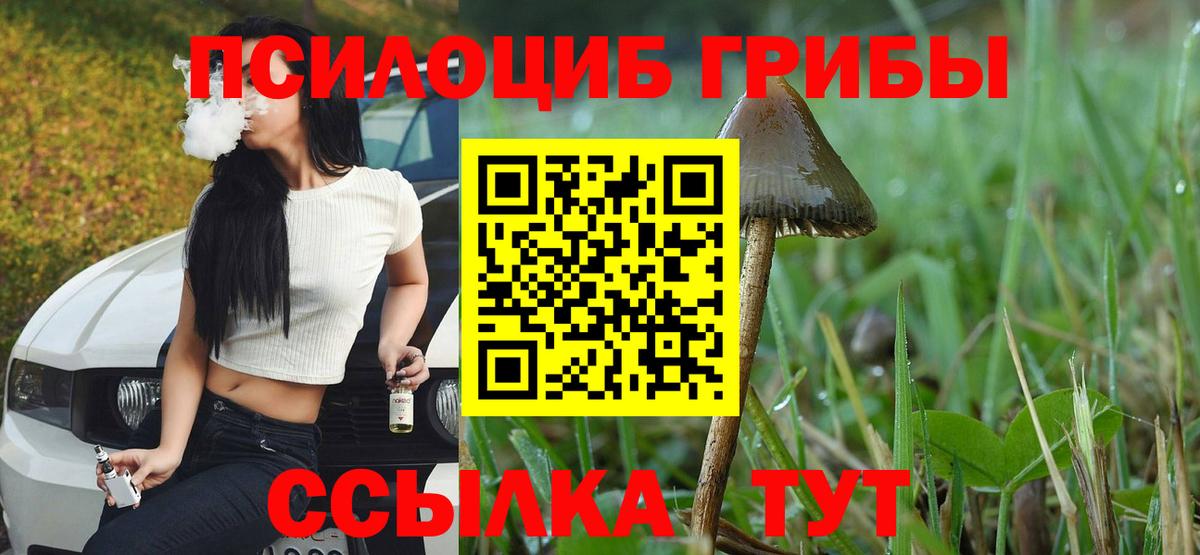 Псилоцибиновые грибы Psilocybe Корсаков
