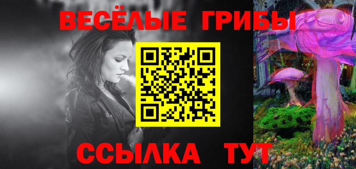 закладки  Вход с VPN  Корсаков  Псилоцибиновые грибы прущие грибы 